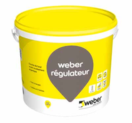WEBER REGULATEUR 700 20KG BLANC ECLAT (CO)